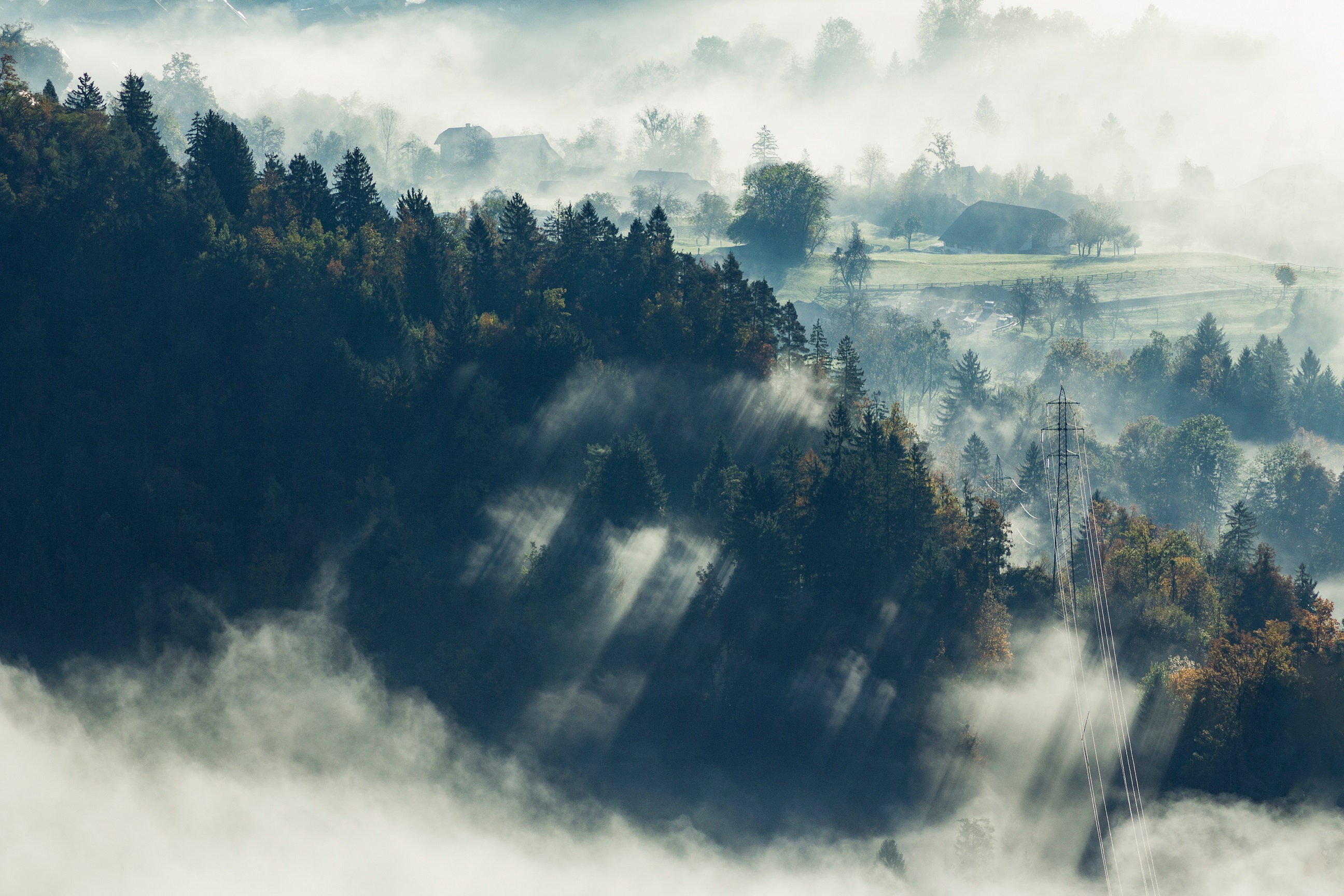 aerial-shot-beautiful-tree-forest-covered-with-fog-bled-slovenia.jpg